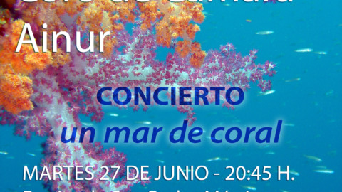 La capilla de San Pedro Mártir acoge un «mar de coral»